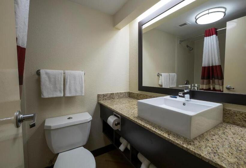 标准间, Red Roof Inn Plus+ Houston   Energy Corridor