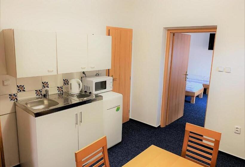 استودیوی استاندارد, Mikulov Inn   Hotel Zeme