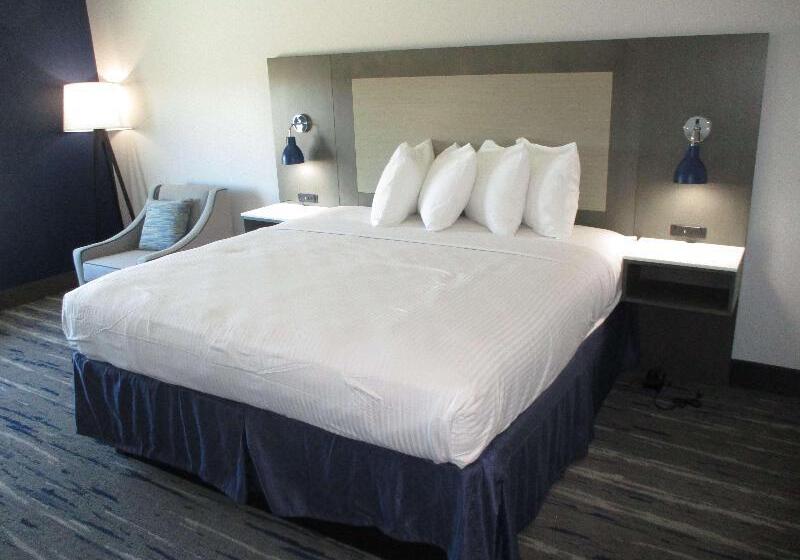 스탠다드 룸 킹사이즈 침대, Rodeway Inn Escondido Downtown