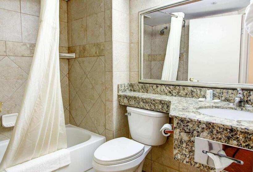 스탠다드 룸 킹사이즈 침대, Comfort Inn Birmingham Homewood