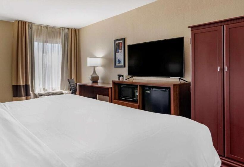 장애인을 위한 킹사이즈 침대 스탠다드 룸, Comfort Inn Birmingham Homewood