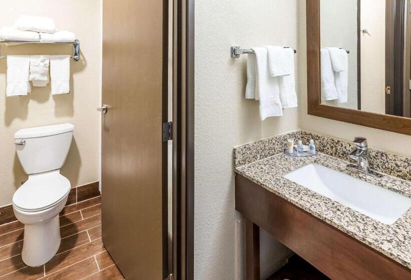 Стандартный Номер Кровать Кинг, Comfort Inn