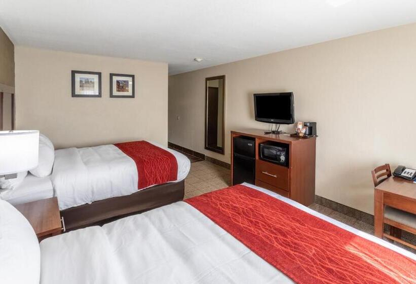 Номер Стандарт, Comfort Inn