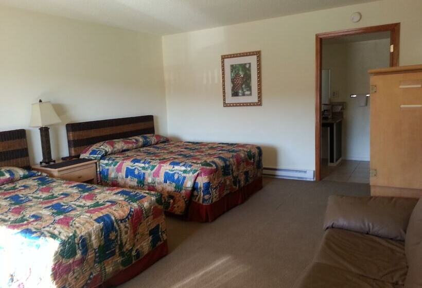 Номер Deluxe, Shelton Inn