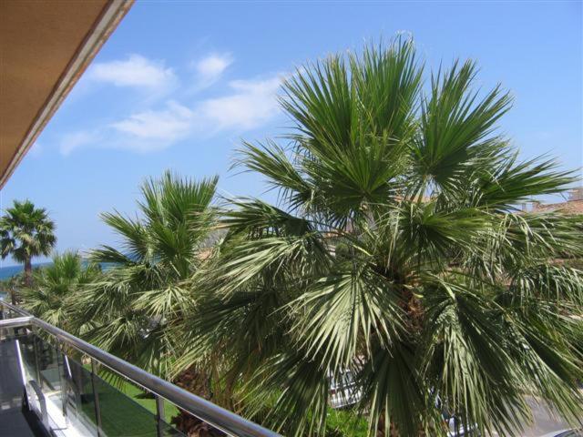 Апартаменты 1 Спальня с Балконом, Front Line           Primera Línea           Apartments In Playa Flamenca