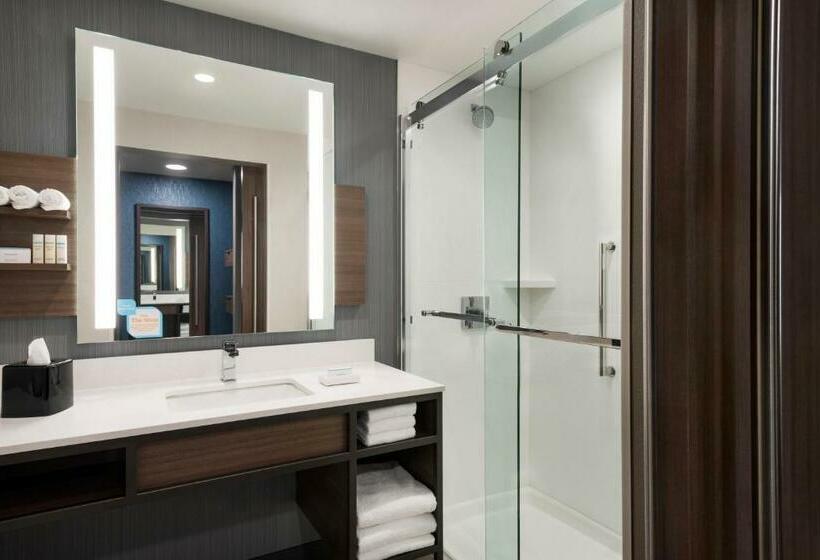 스탠다드 룸 킹사이즈 침대, Hilton Garden Inn Milwaukee Brookfield Conference Center, Wi