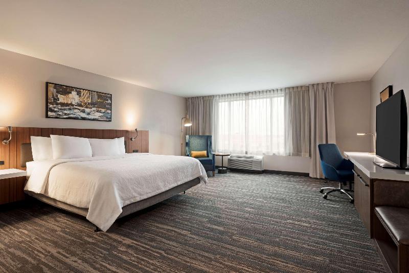 스탠다드 룸 킹사이즈 침대, Hilton Garden Inn Milwaukee Brookfield Conference Center, Wi