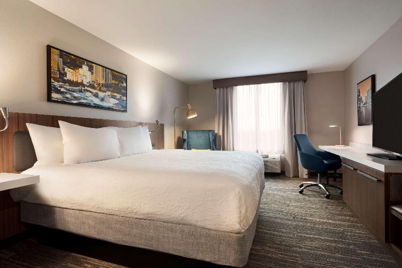 스탠다드 룸 킹사이즈 침대, Hilton Garden Inn Milwaukee Brookfield Conference Center, Wi