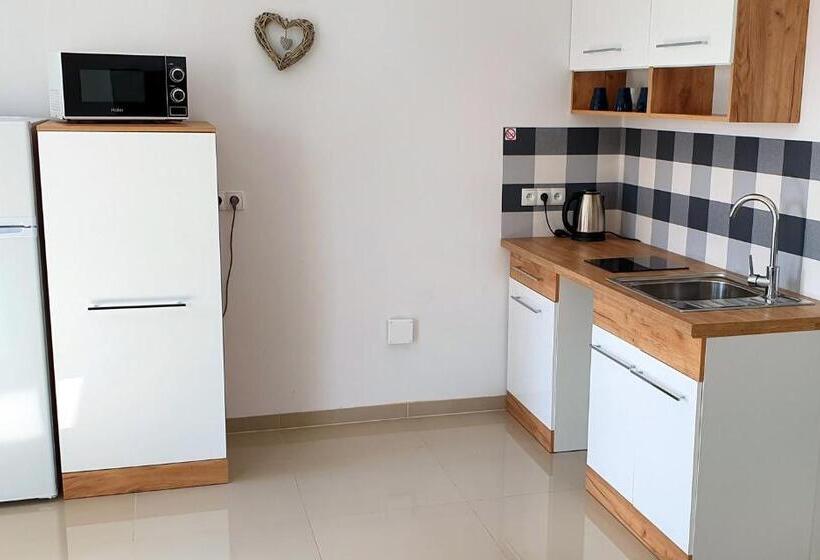 Апартаменты Superior 1 Спальня, Zielone Apartamenty Katowice Chorzów