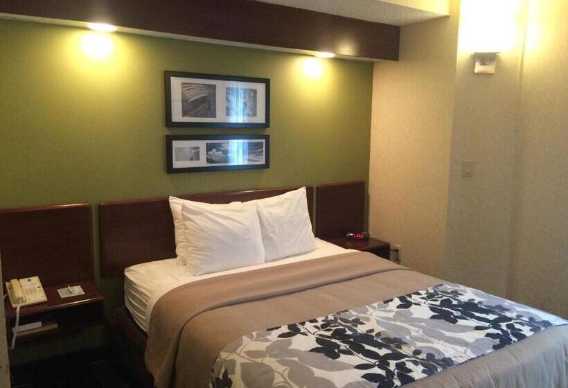 Номер Deluxe Адаптированный для Инвалидов, Baymont By Wyndham Flat Rock