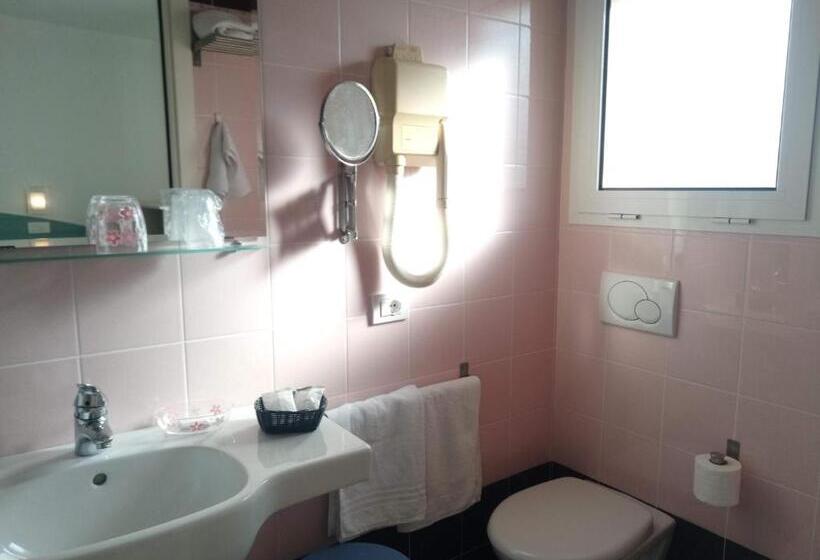 Номер Стандарт, Alga