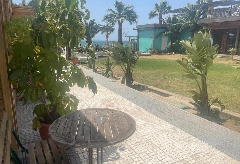 Номер Стандарт Вид на Сад, Habitaciones Sajorami Beach
