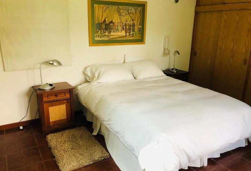 سوییت, Casa Los Ciervos