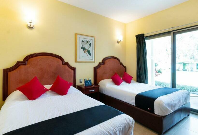 标准间, Capital O Hotel Vitale