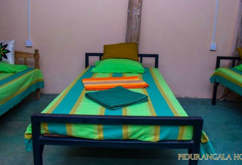 מיטה בחדר משותף, Pidurangala Hostel