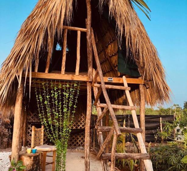 اتاق استاندارد, Guaigüí Bayahibe