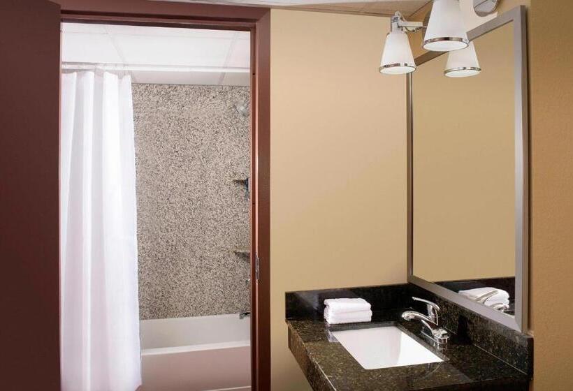 스탠다드 룸 킹사이즈 침대, Four Points By Sheraton Virginia Beach Oceanfront