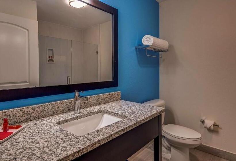 חדר סטנדרט עם מיטת קינג, Surestay Plus Hotel By Best Western Humble