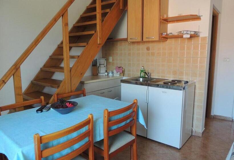 스탠다드 스튜디오, Apartments Mijic