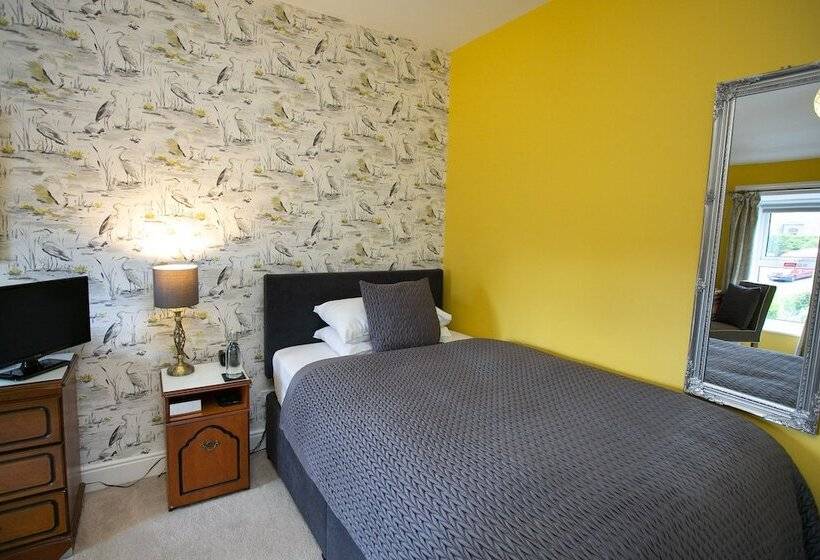 스탠다드 싱글 룸, Shelleven Guest House