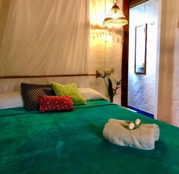 Студио Стандарт с Террасой, Hostal Los Orishas