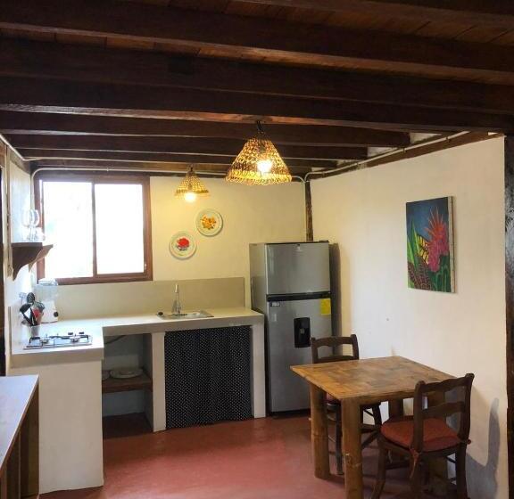 Студио Стандарт с Террасой, Hostal Los Orishas