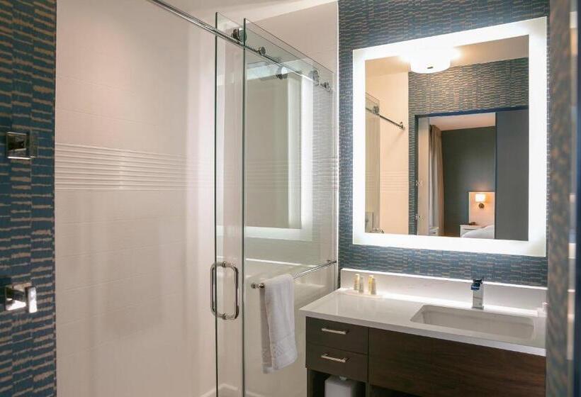 سوئیت با تخت بزرگ, Towneplace Suites Nashville Downtown/capitol District