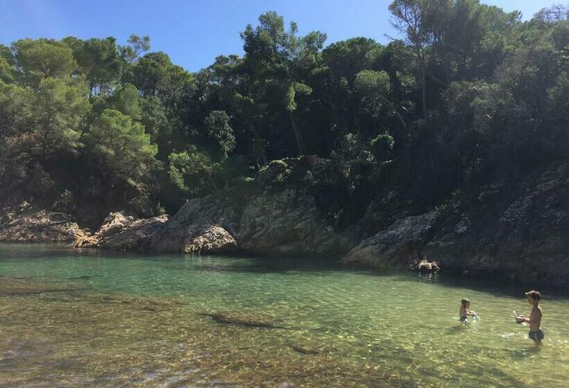 Апартаменты 1 Спальня, Bertur Gran Reserva Comte Empuries