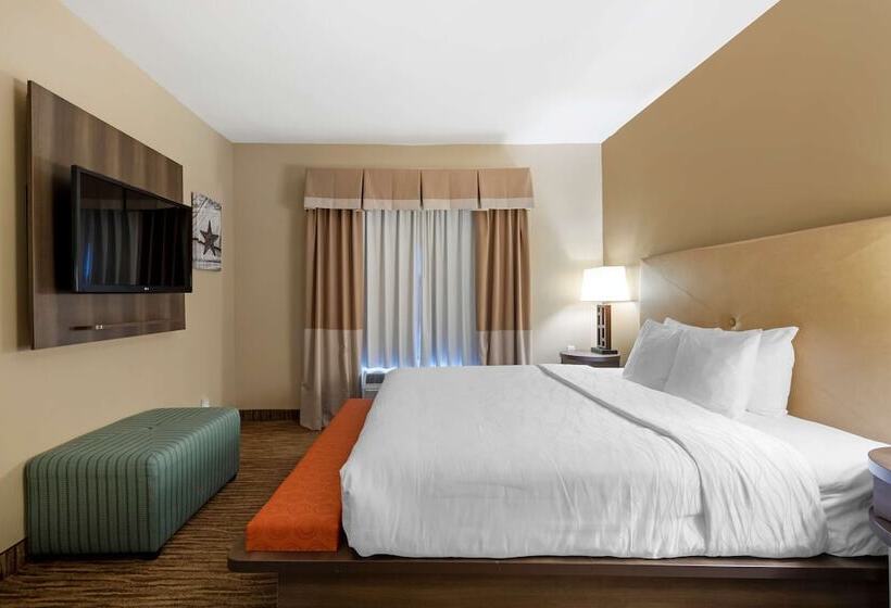 Suite, Best Western Plus Dfw Airport Suites