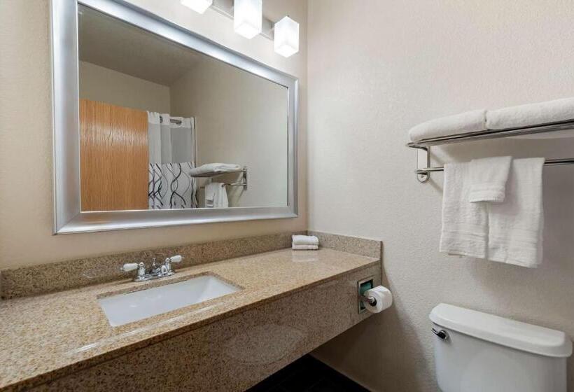 Suite Łóżko King Size, Best Western Plus Dfw Airport Suites