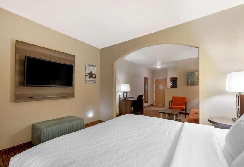 Suite Łóżko King Size, Best Western Plus Dfw Airport Suites