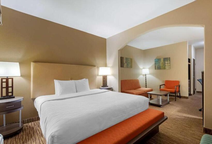 Suite Przystosowany dla Osób Niepełnosprawnych, Best Western Plus Dfw Airport Suites