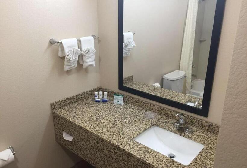 Стандартный Номер Кровать Кинг, Best Western Plus Gateway Inn & Suites   Aurora