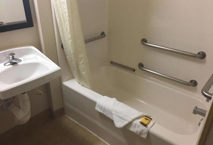 Номер Стандарт Кровать Кинг Адаптированный для Инвалидов, Best Western Plus Gateway Inn & Suites   Aurora