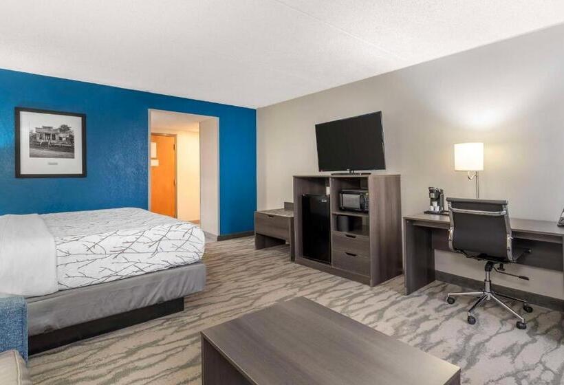 Standard Szoba King Size Bed, Best Western Plus Knoxville Cedar Bluff