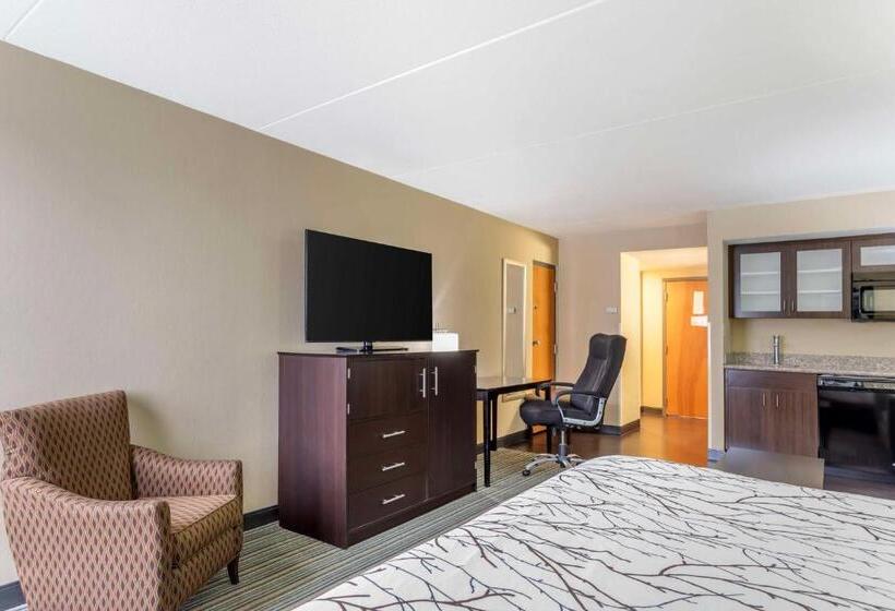 Suite King Size Bed, Best Western Plus Knoxville Cedar Bluff