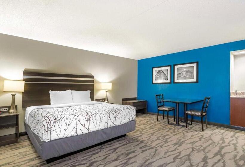 Suite King Size Bed, Best Western Plus Knoxville Cedar Bluff