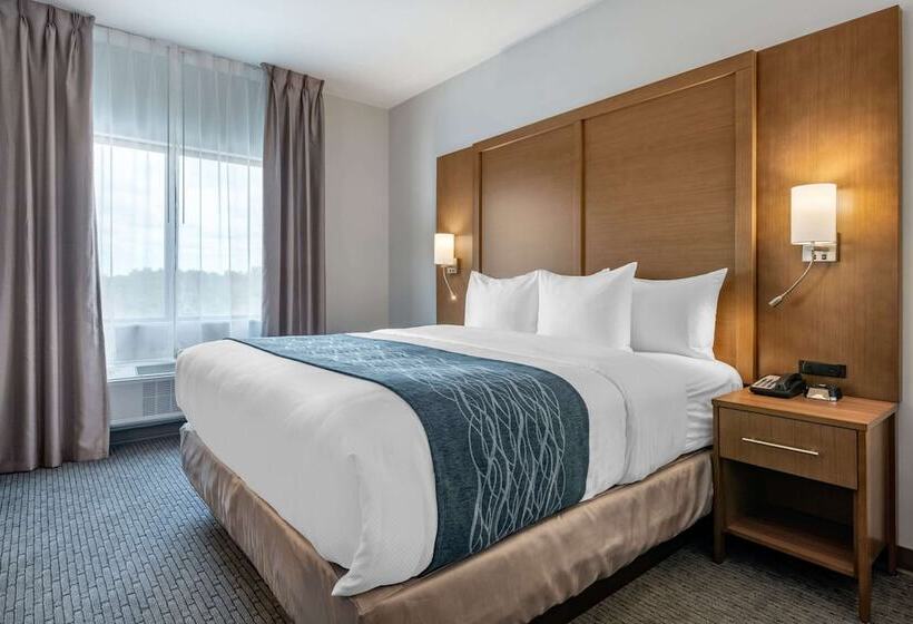 Люкс, Comfort Suites Stuarthutchinson Island