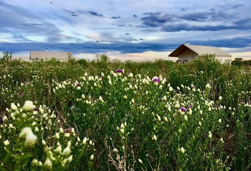 Deluxe Tent, Rustic Rook Resort Great Sand Dunes