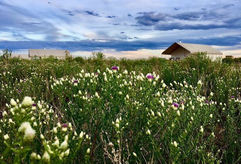 Deluxe Tent, Rustic Rook Resort Great Sand Dunes