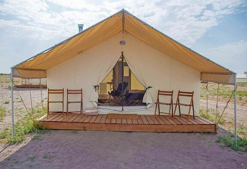 Deluxe Tent, Rustic Rook Resort Great Sand Dunes