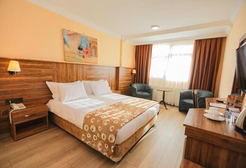 스탠다드 룸, Emin Koçak Termal & Spa   Convention Center