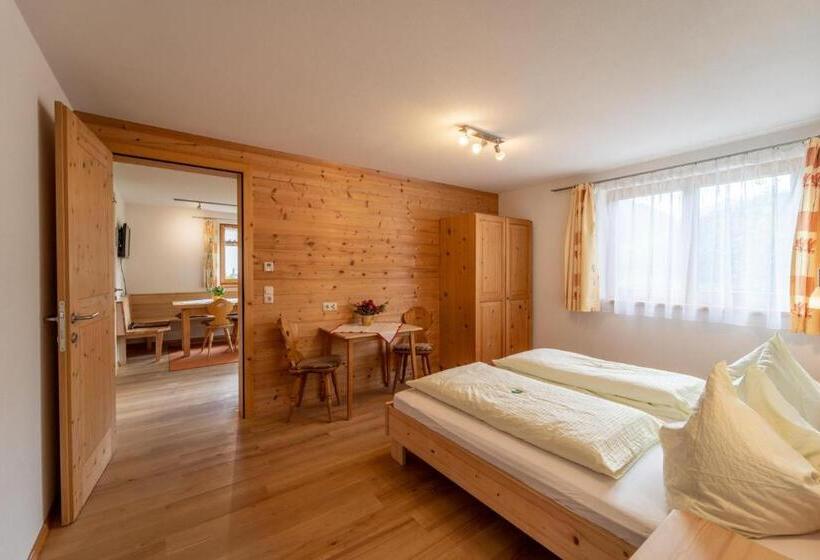 آپارتمان 1 خوابه با چشم‌انداز باغ, Forsthaus Schoppernau