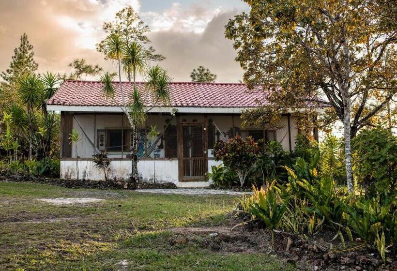 اتاق لوکس, Pine Ridge Lodge