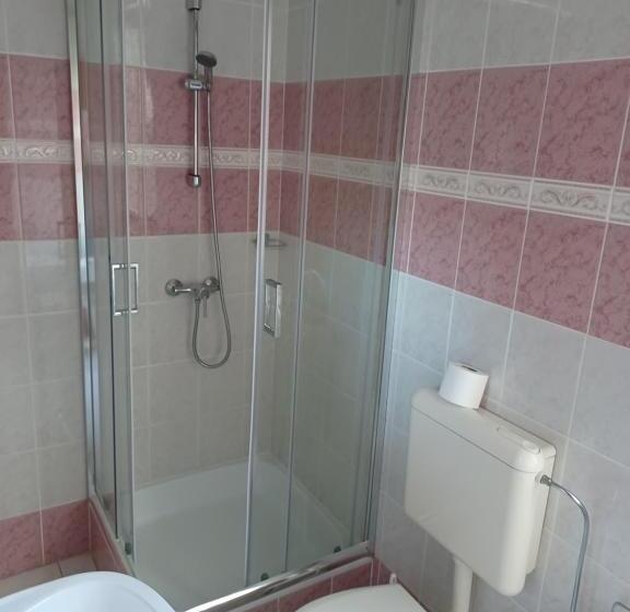Семейный Номер, Jankó Apartman