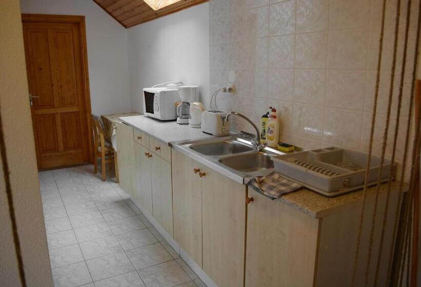 Семейный Номер, Jankó Apartman