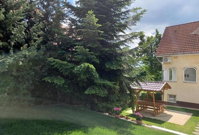 Студио Стандарт с Балконом, Jankó Apartman