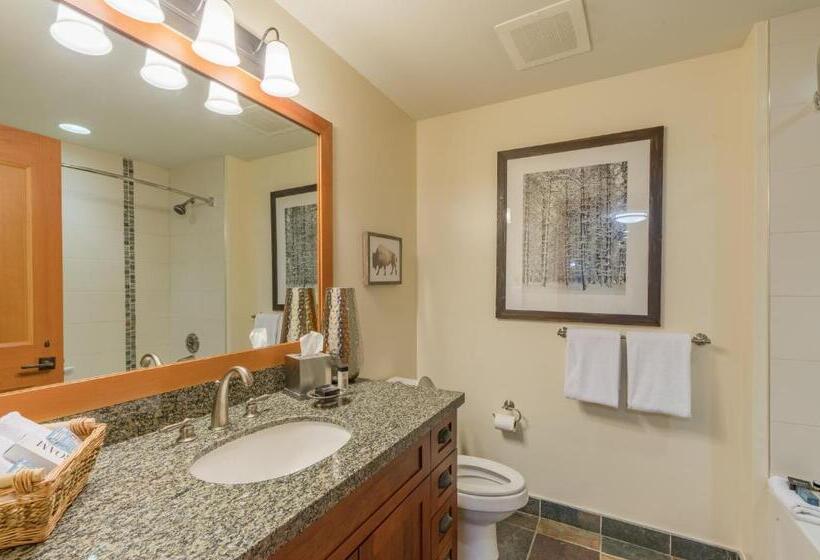 Апартаменты 1 Спальня, Capitol Peak Lodge By Snowmass Mountain Lodging
