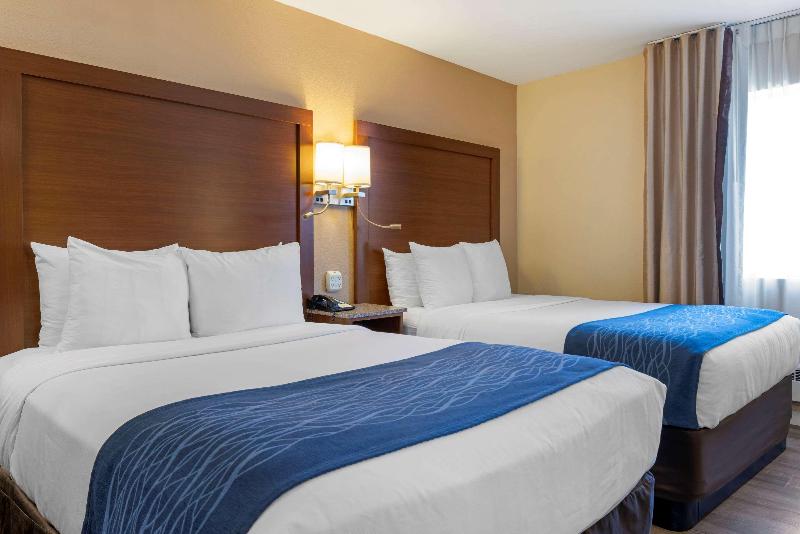 Habitación Estándar Individual, Bellevue Park Hotel Riga With Free Parking