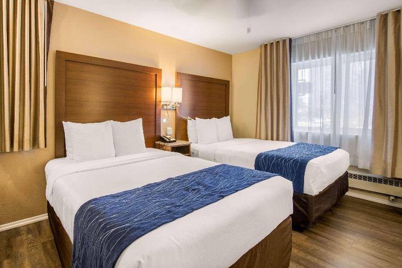 Habitación Estándar Individual, Bellevue Park Hotel Riga With Free Parking